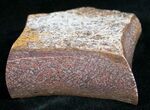 Pink Agatized Dinosaur Bone - Polished Faces #11449-1